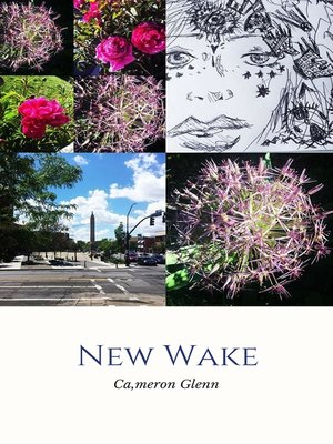 cover image of New Wake